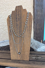 Load image into Gallery viewer, DS Silver Filly Necklace
