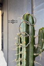 Load image into Gallery viewer, DS Rancho Pearl Bracelets
