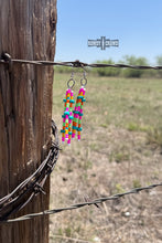 Load image into Gallery viewer, DS Summertime Earrings
