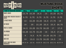 Load image into Gallery viewer, DS Mustang Ridge Shorts
